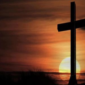 Meet your Posher, Fadia